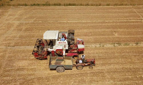 托管服務 減損增效