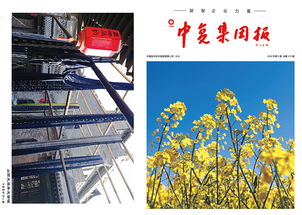 連云港中復連眾復合材料集團2018第三期產品與服務概覽